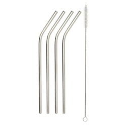 Paille Inox x4 + Goupillon