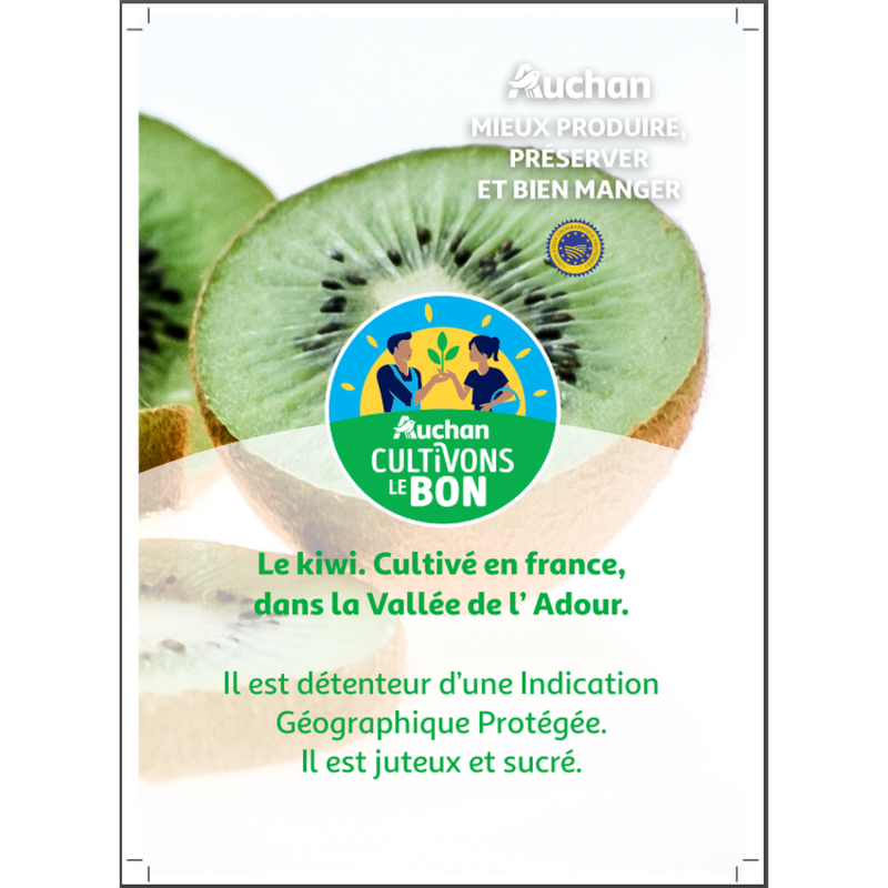 CULTIVONS LE BON Kiwi mûrs à point IGP x5