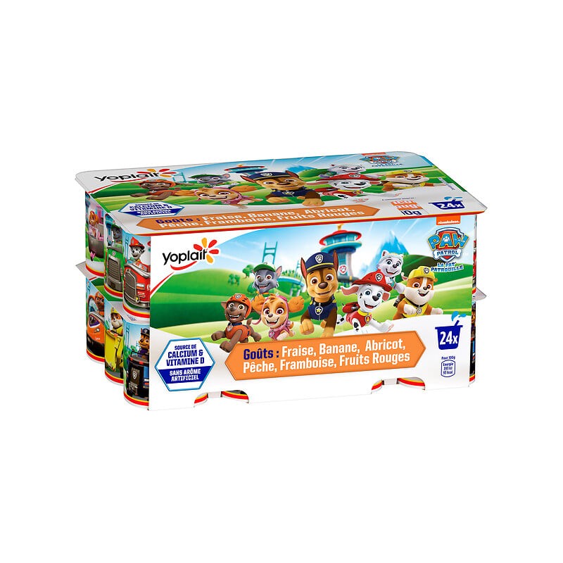 Petits Suisses Aromatisé aux Fruits Pat'Patrouille 24x50g