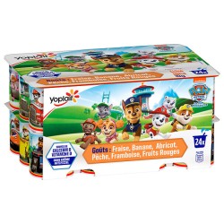 Petits Suisses Aromatisé aux Fruits Pat'Patrouille 24x50g