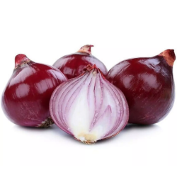 Oignon Rouge Tube 4 Têtes