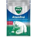 Pastilles à l'Eucalyptus sans Sucre 72g