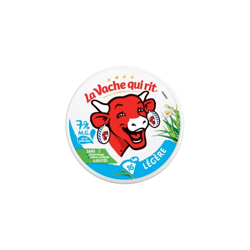 Fromage allégé 7%MG x16 267g