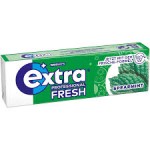 Chewing gum menthe verte sans sucre dragées x10