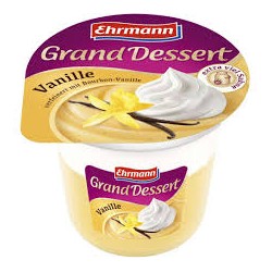 Grand dessert à la vanille 190g