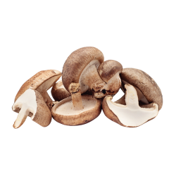 Champignon Shiitake 200g