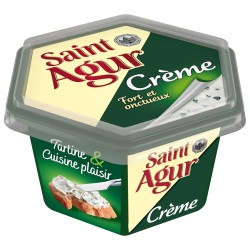 Crème de fromage persillé pour tartiner et cuisiner 155g
