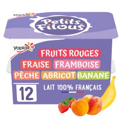 Petits suisses aux fruits mixés 12x50g