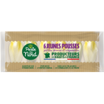 Endive Chicon Jeune Pousse 6/7 pièces
