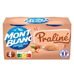Crème Dessert Praliné 4x125g