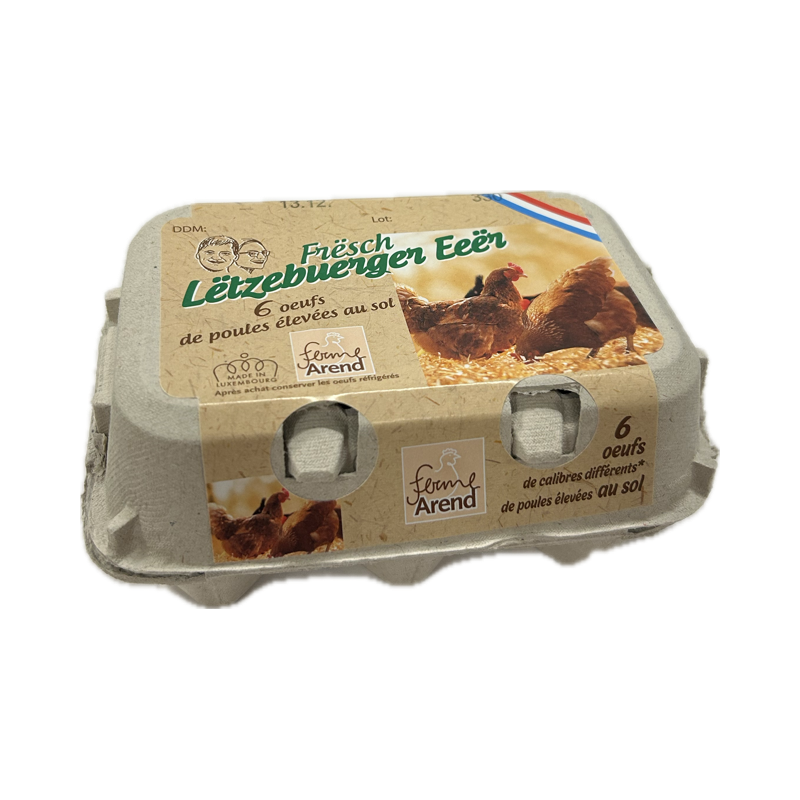 Oeufs de poule élevées au sol x6