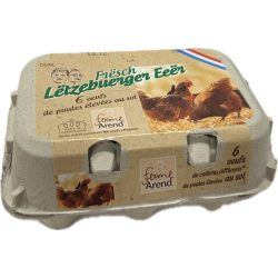 Oeufs de poule élevées au sol x6