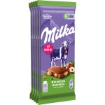 Lait Noisettes Entières 5x100g