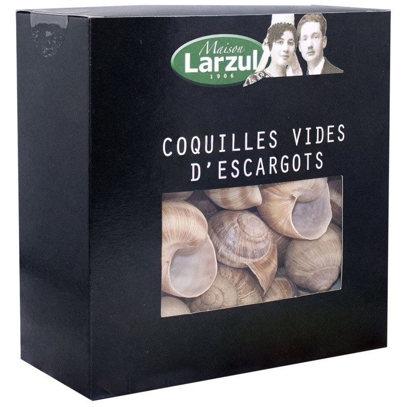 Coquilles vides d'escargots x48