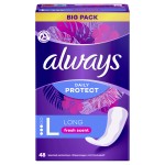 Daily Protect Protège-Slip L x48