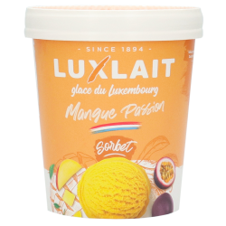 Sorbet Mangue Passion 475ml