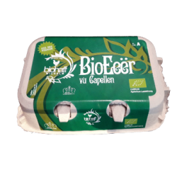 Oeufs biohaff x6