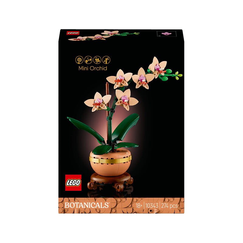 Botanique mini orchidée 10343 dès 18 ans