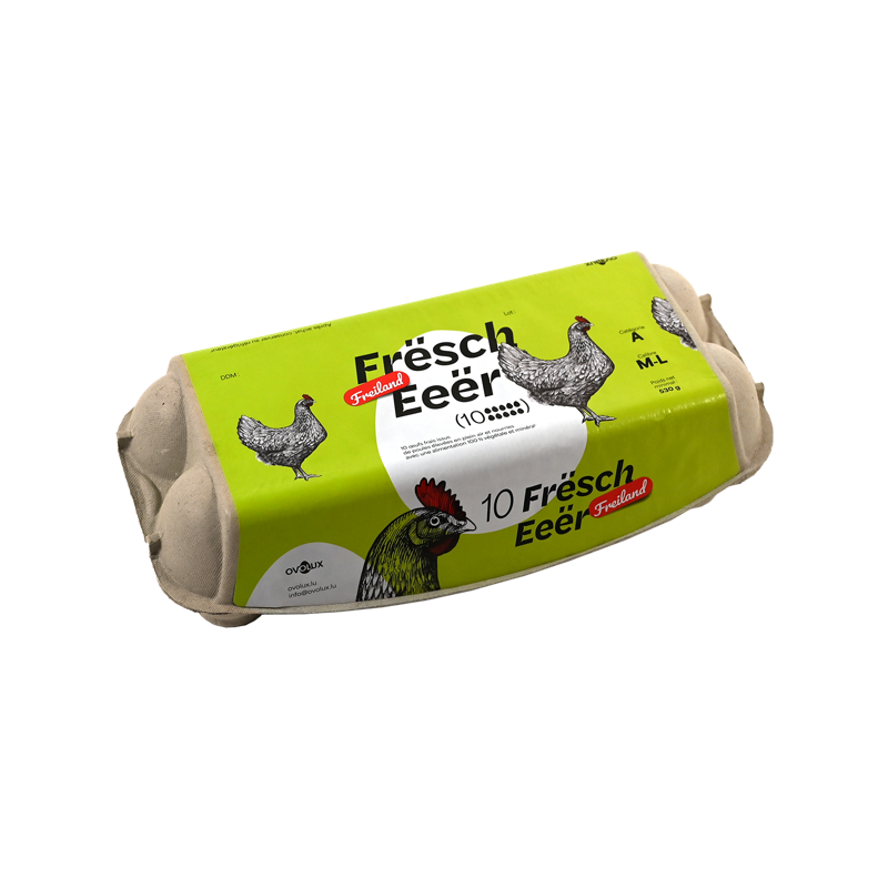 Oeufs de poules élevées en plein air x10