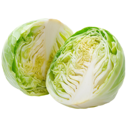 Chou blanc bio pièce