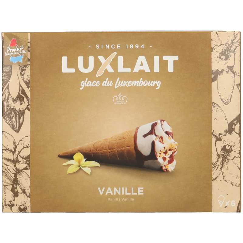 Cornet Vanille x6 459g