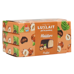 Crème Glacé Miniature Noisettes x3 384ml