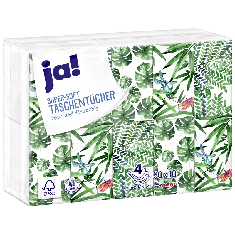 Mouchoirs 30 Paquets de 10 mouchoirs