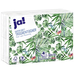 Mouchoirs 30 Paquets de 10 mouchoirs