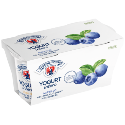 Yaourt entier myrtille sans gluten 2x125g