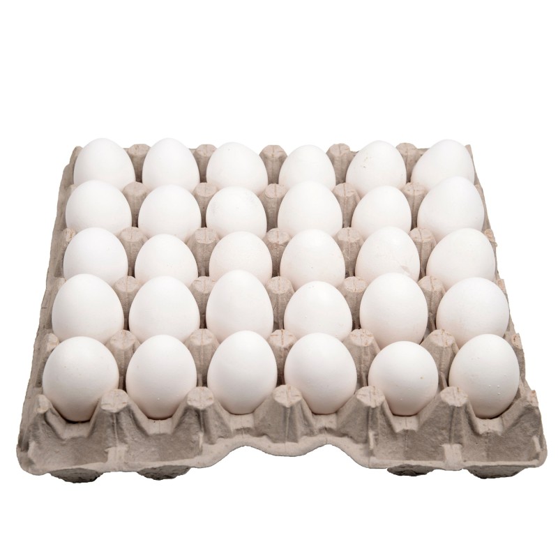 Oeufs blancs de poules élevées en plein air x30