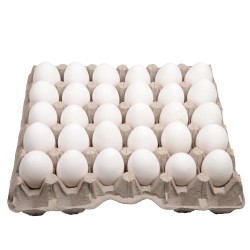 Oeufs blancs de poules élevées en plein air x30