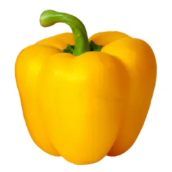 Poivron Jaune pièce