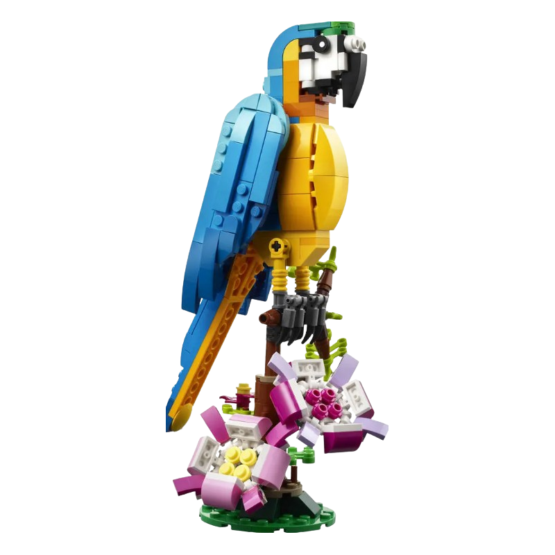 Creator 3en1 le perroquet exotique 31136