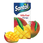 Nector de mangue 1l