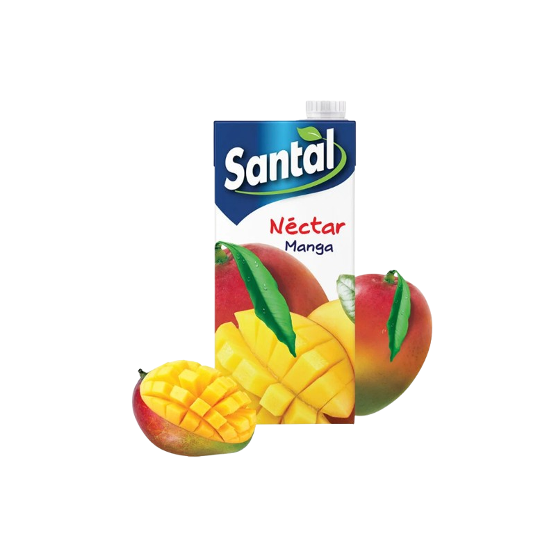 Nector de mangue 1l