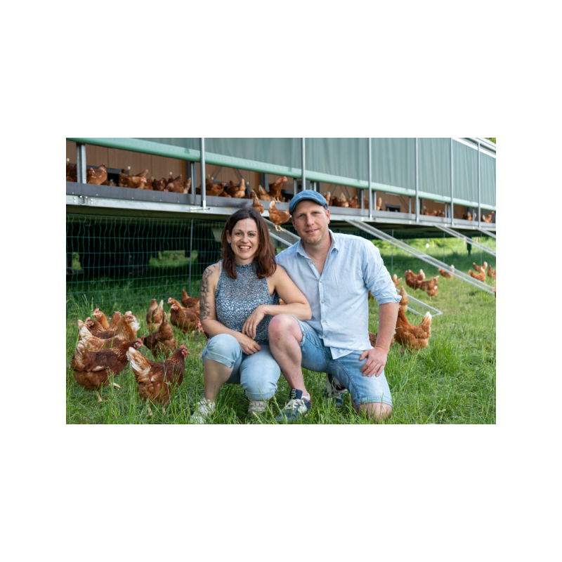 CULTIVONS LE BON Auchan oeufs de poules élevées en plein air x10