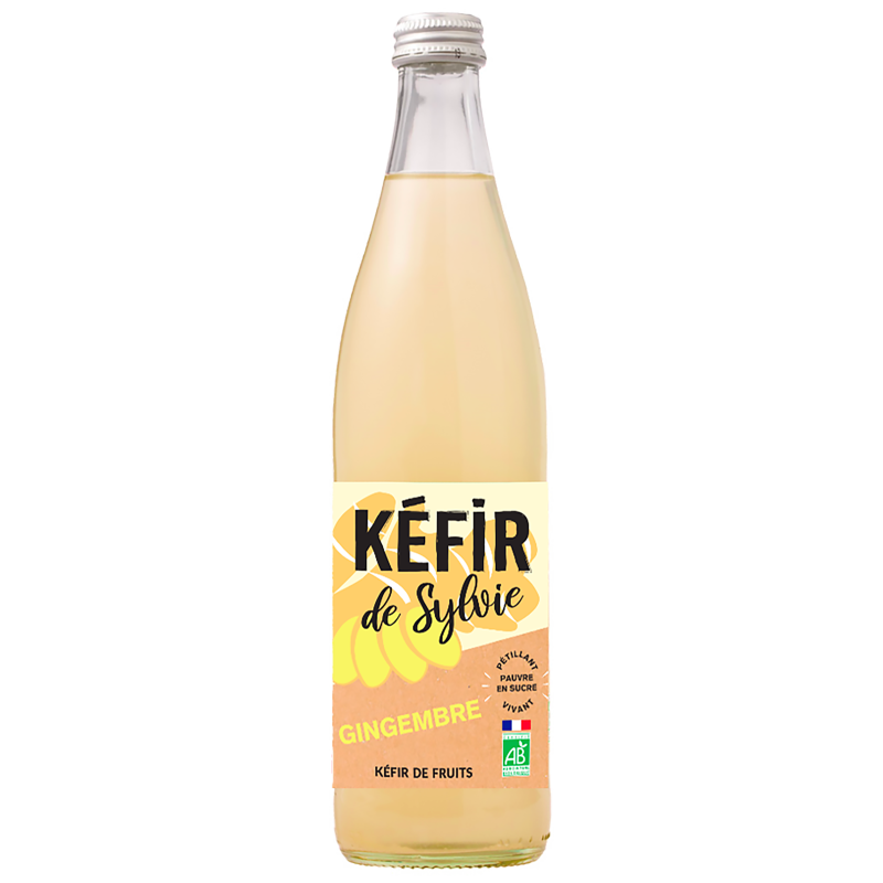 Kéfir pétillant gingembre bio 25cl