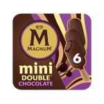 Glace Double Chocolat Mini x6 285g