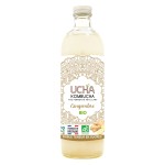Thé fermenté pétillant Kombucha au gingembre bio 75cl