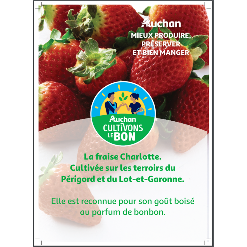 CULTIVONS LE BON Fraises Charlotte 400g