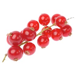 Groseille Rouge 125g