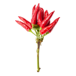 Piment rouge bouquet 100g