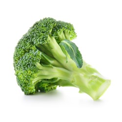 Bio Brocoli Pièce