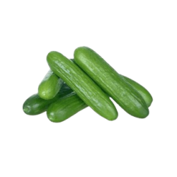 Concombre mini bio 500g