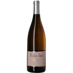 Vin blanc Morillon 14% 75cl