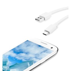 Câble USB-C blanc