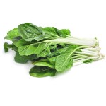 Côtes de blettes botte