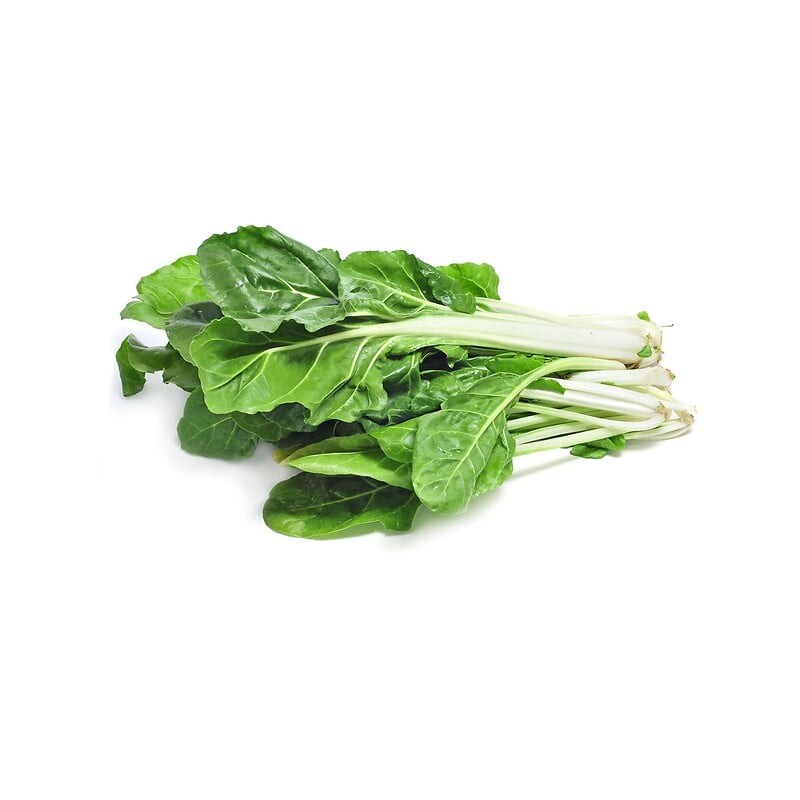 Côtes de blettes botte