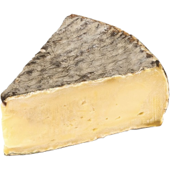 Saint Nectaire fermier AOP 180g