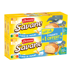 Gâteaux savane à base de yaourt 4 boîtes 840g